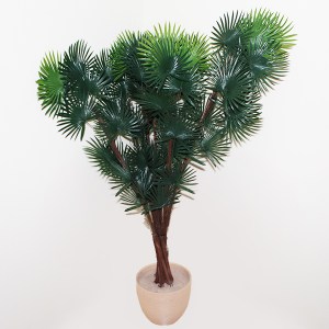 Dekoratīva palma  noma Аренда декоративной пальмы